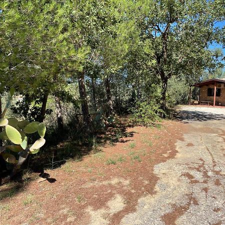 Wonderful House In The Heart Of Sicily Vila Piazza Armerina Exterior foto